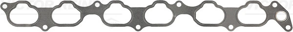 Gasket, intake manifold